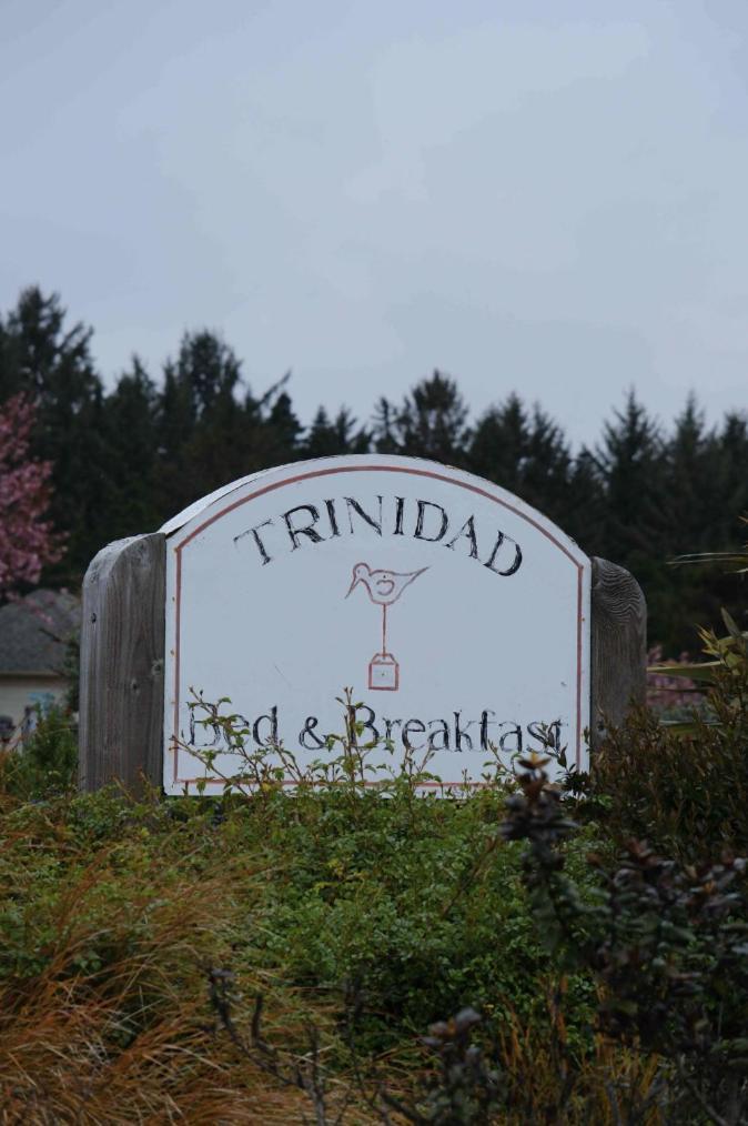 Trinidad Bay Bed And Breakfast Hotel Exterior photo